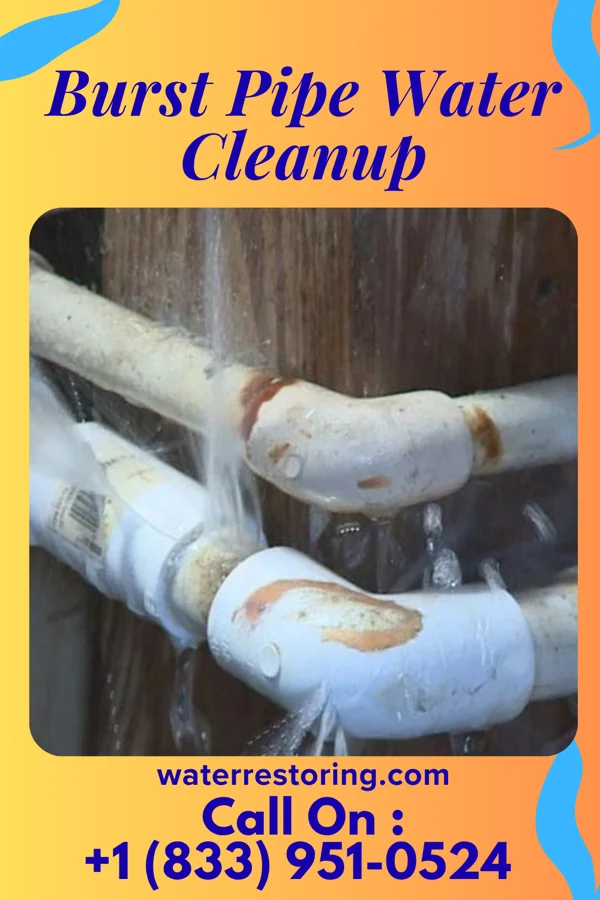 Burst Pipe Water Cleanup in Palmer, NE