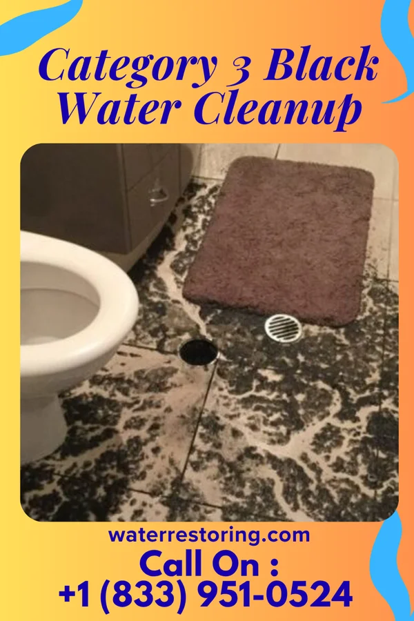 Category 3 Black Water Cleanup in Palmer, NE